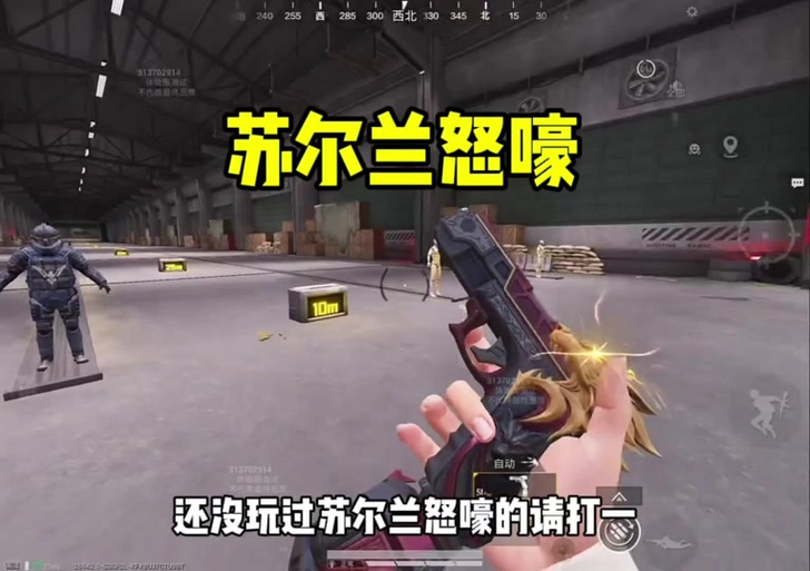 苏尔南怒嚎伤害测试图标