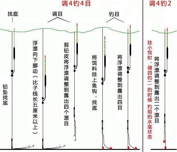 子线加铅调几钓几最合适
