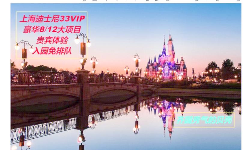 上海迪士尼33vip怎么买图标
