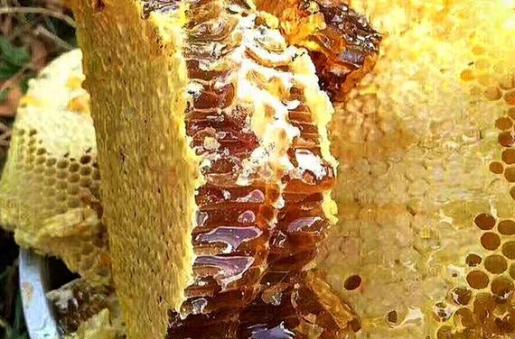 蜂蜡外敷的神奇功效