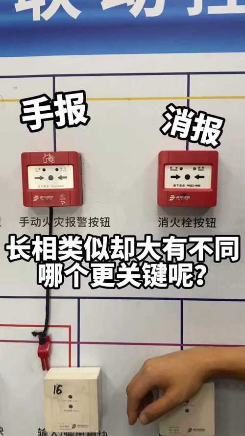 手报和消报有什么区别