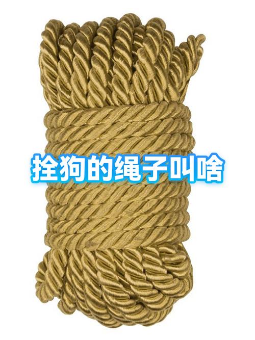 怎样拴狗绳的系法图解