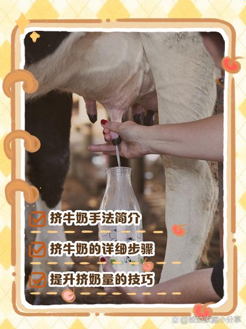 拼多多牧场奶牛怎么才能解锁
