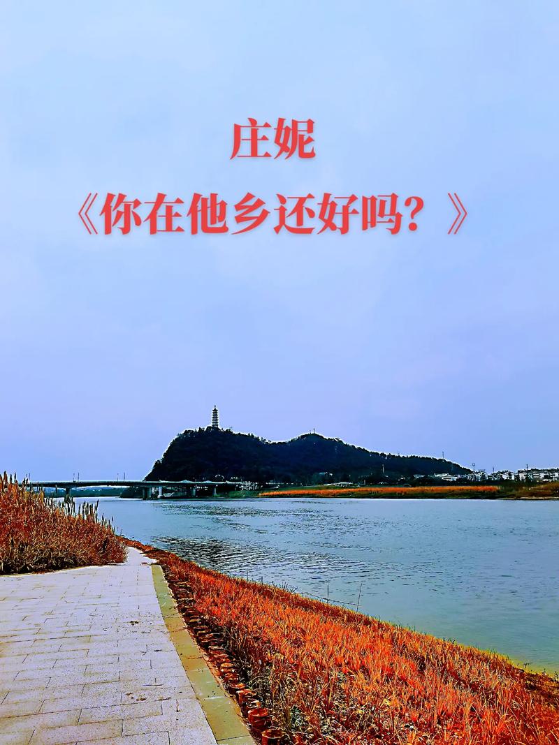 歌曲巜再次握住你的手DJ