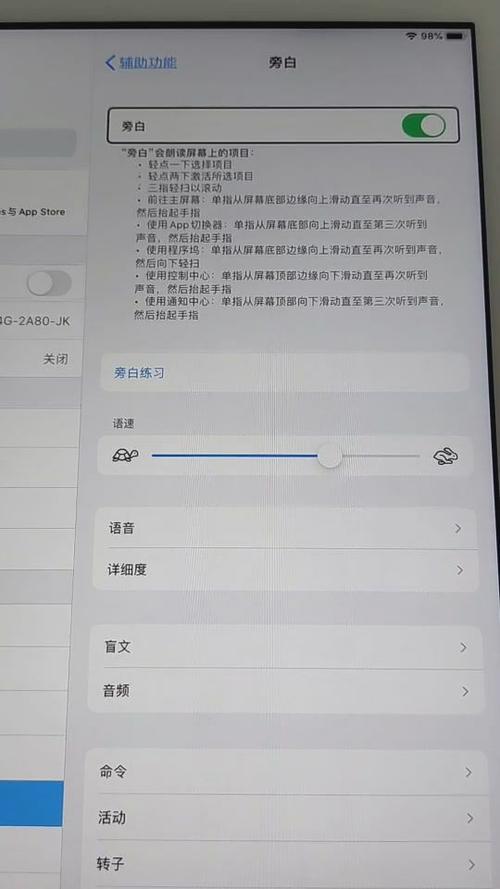 ipad盲人模式黑屏