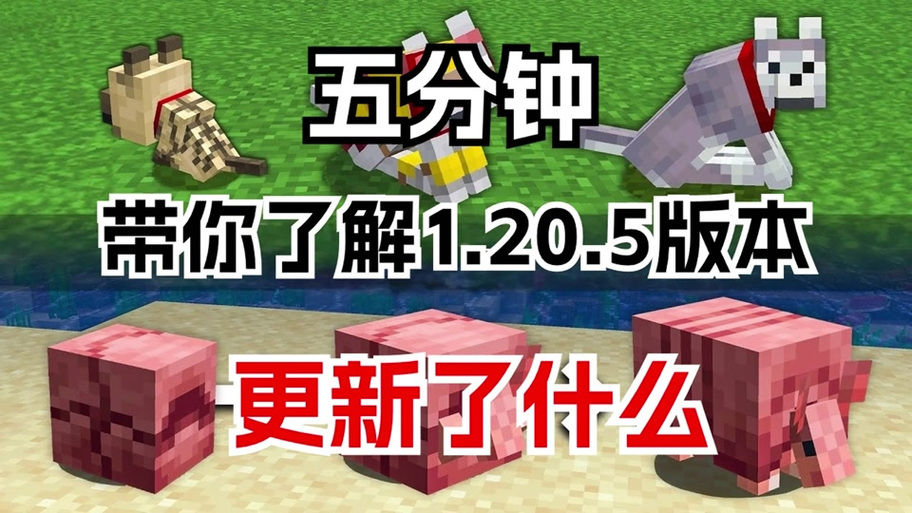 我的世界1.21.5国际版缩略图