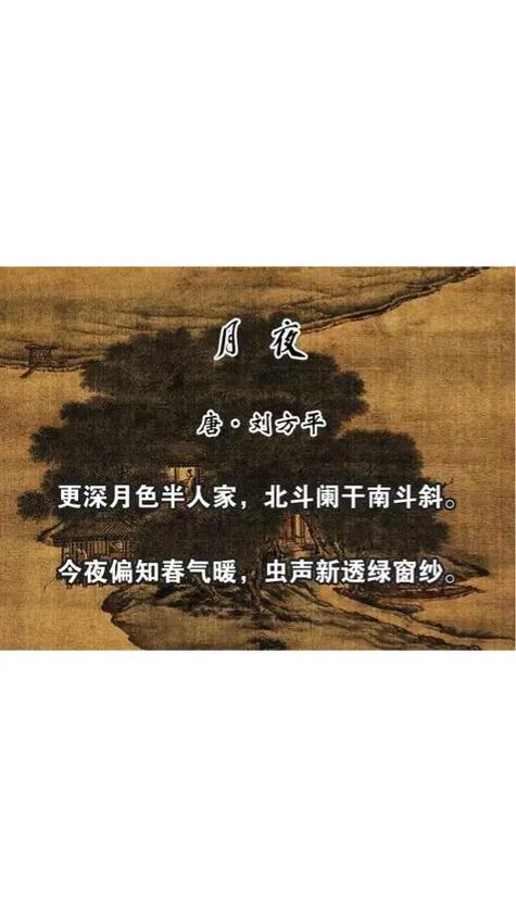 今夜邀明月歌词