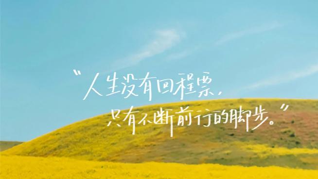 ipad手写字体