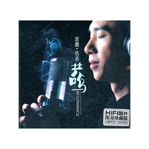 赵鹏歌曲100首mp3