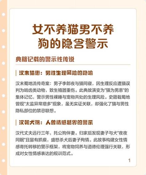 因为个人原因无法养猫了怎么办