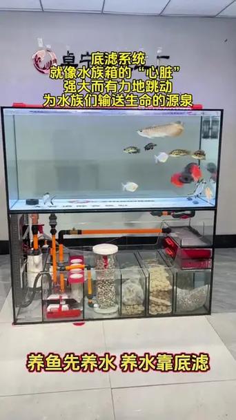 底滤鱼缸原理