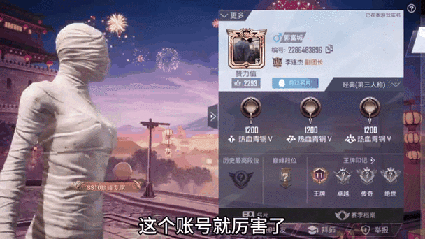 和平精英明星名字id游戏截图