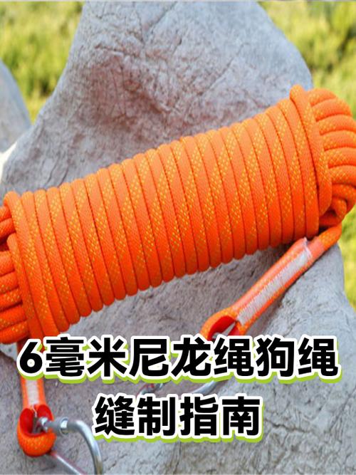 狗叼着狗绳是什么意思