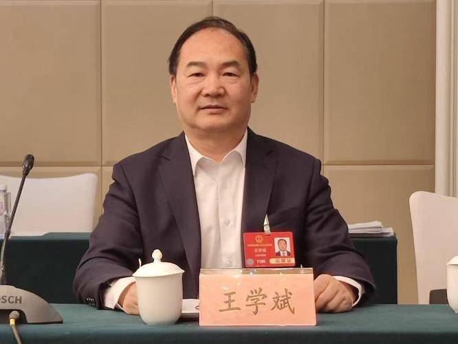 王学斌个人资料