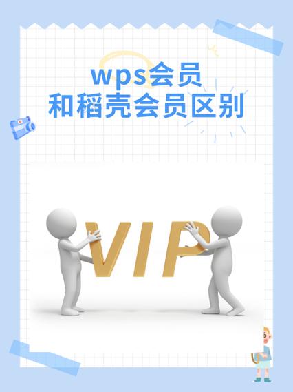 vip和vic有什么区别