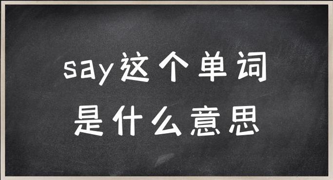 saya什么意思中文意思游戏截图