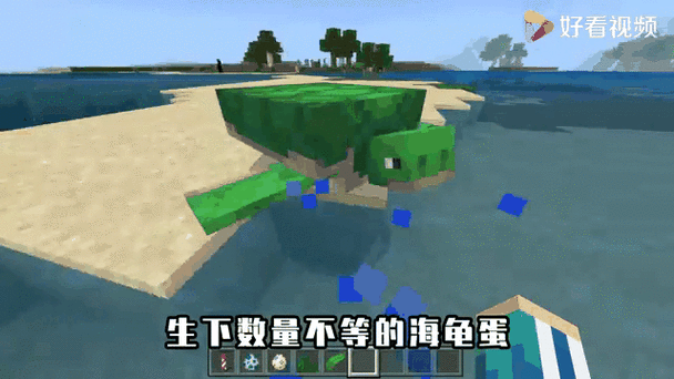 mc海龟壳有盔甲值吗