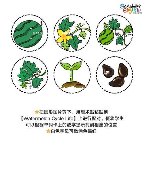 我的世界西瓜怎么种