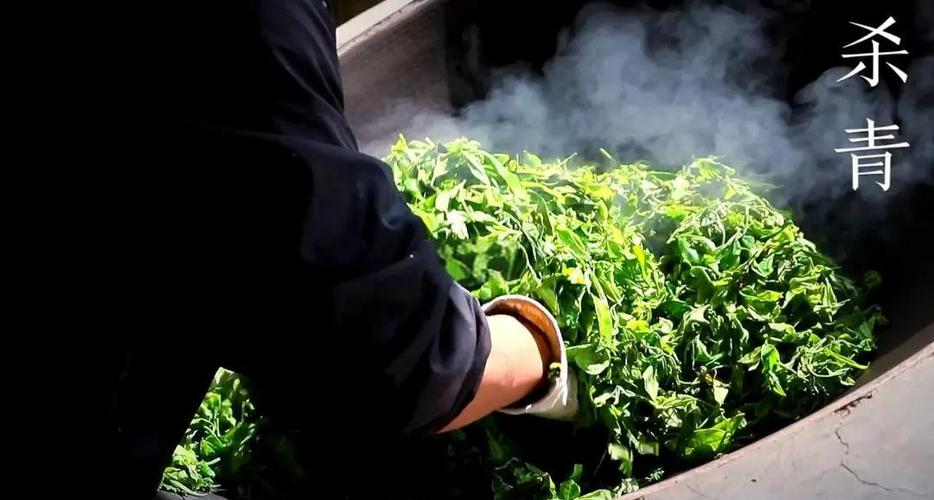 茶叶杀青教程