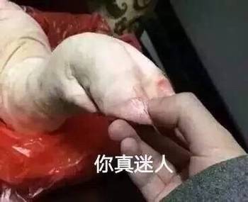 伸出一只猪蹄表情包缩略图