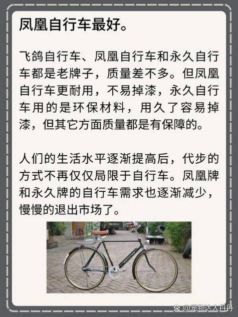 凤凰飞鸽永久选哪个好