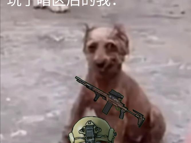 暗区突围真好玩缩略图