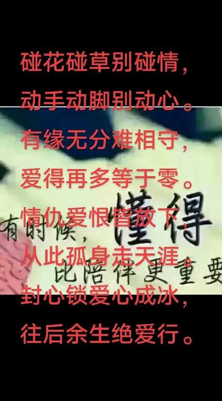 捡个乞丐当老婆