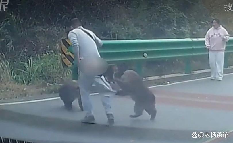 峨眉山遭男子猛推猴子无大碍