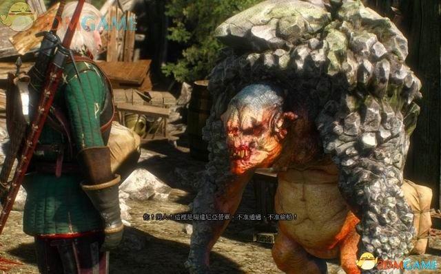 巫师3 任务