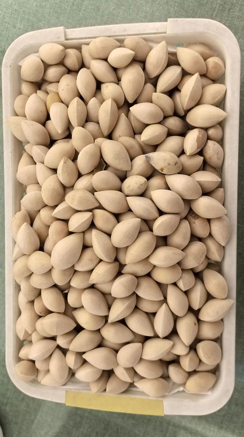 买点白果