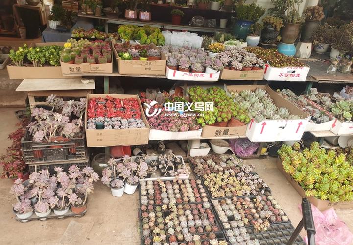 义乌花卉市场营业时间
