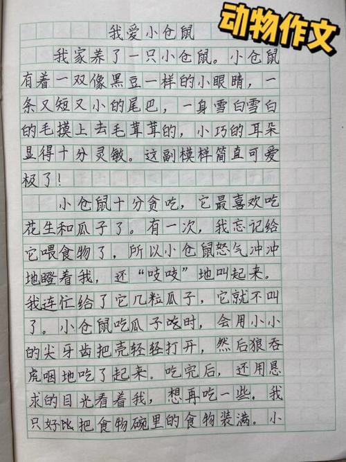小仓鼠写话50字到100字