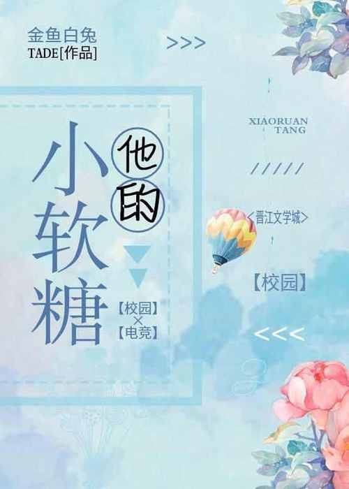 他的小软糖小说