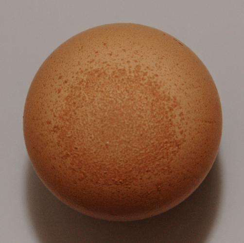 eggshell是什么意思