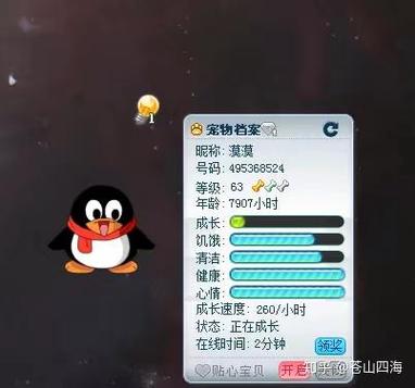 qq宠物停运原因
