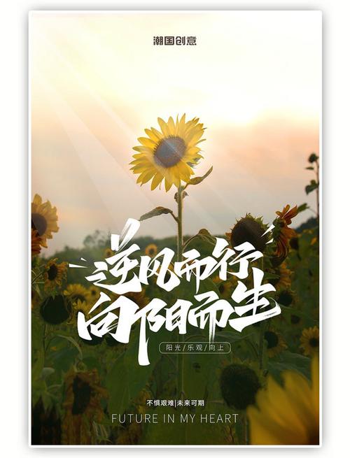 命运太苦了怎么办截图