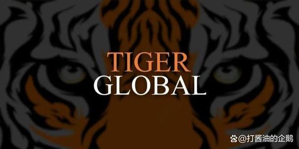 Tiger Global Management截图