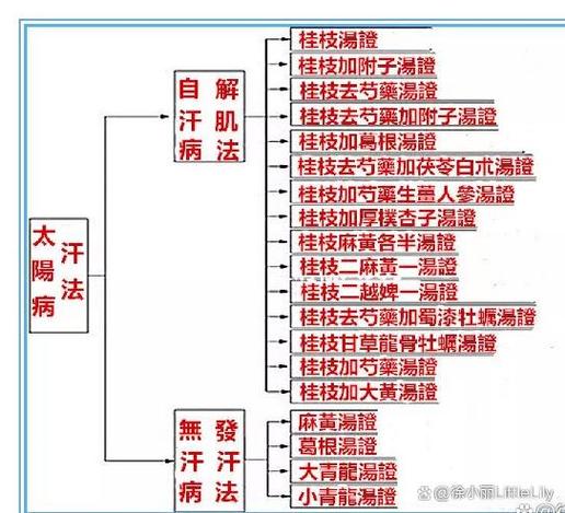 实战伤寒论十六个加减方