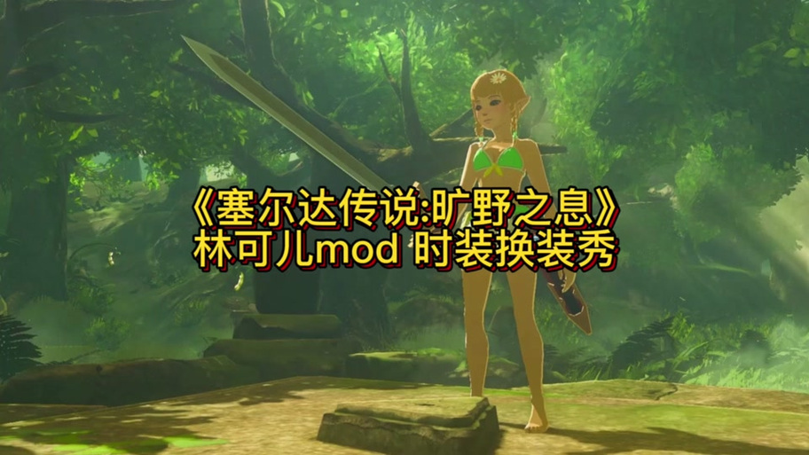 旷野之息mod游戏截图