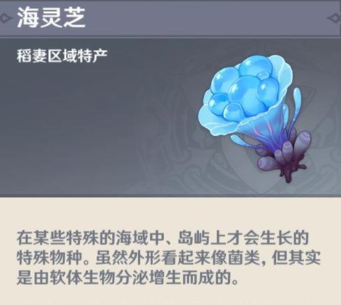 原神海灵芝用来干嘛