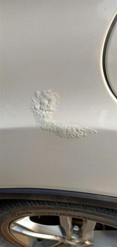 车漆起皮翘起来截图