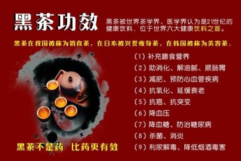 华莱健广告图片