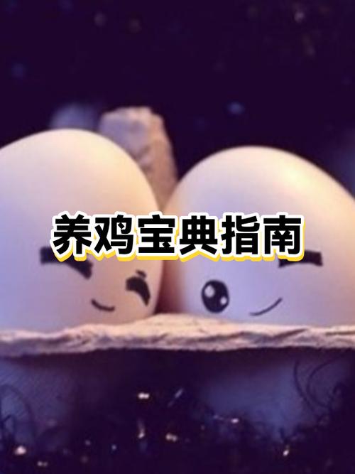 鸡的最好三个药