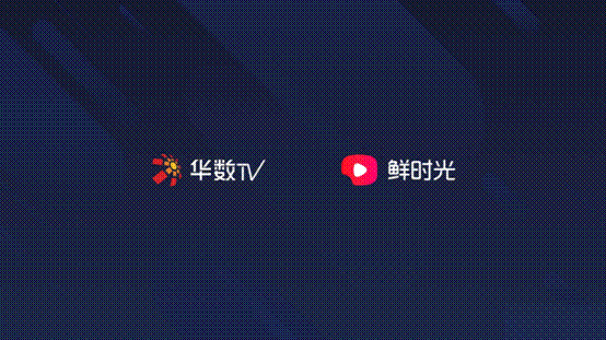 西爪电视TV
