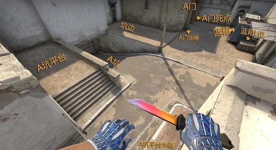 csgo怎么调整手出来点