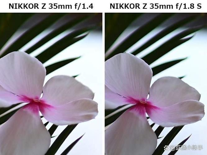 nikkor与nikon区别