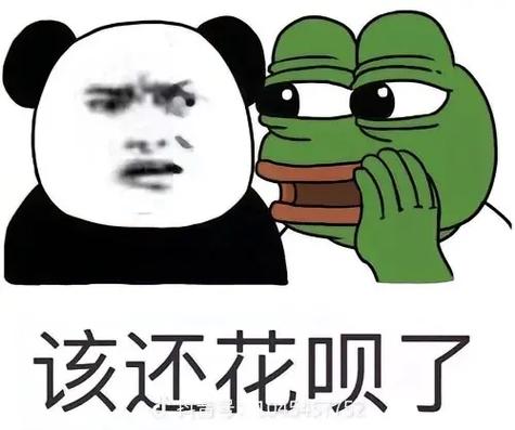抖音上花呗还了吗bgm