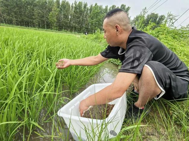 稻田养虾一亩能挣多少钱游戏截图