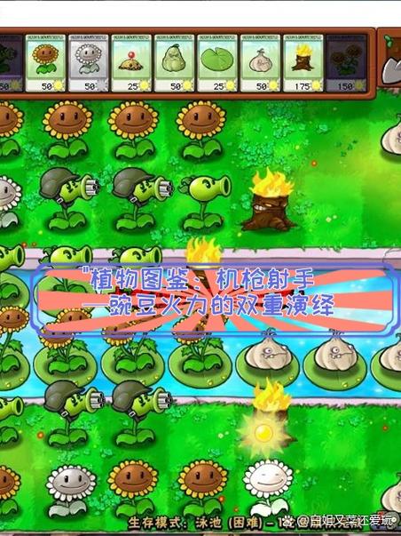 植物大战僵尸如何输入