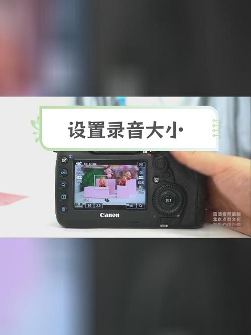 怎么录制视频声音
